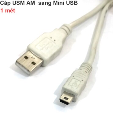 Cáp USB AM sang Mini USB 1 mét cho Máy tính ra Máy ảnh Avermedia GL310 - Phụ Kiện Điện Tử Việt Nam